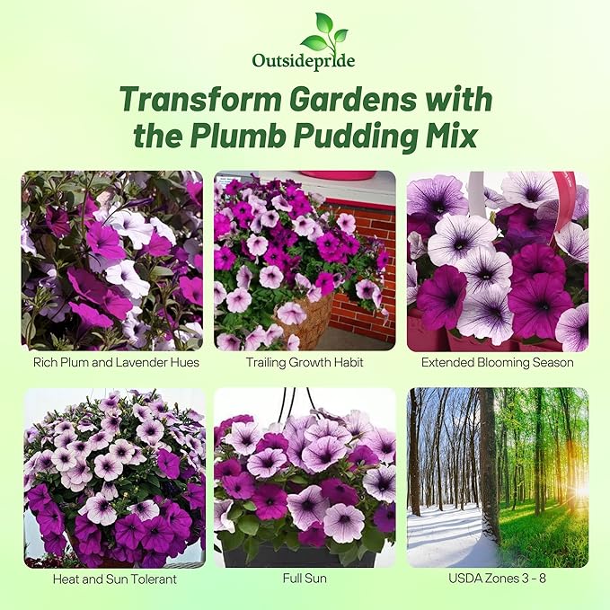 Outsidepride Plumb Pudding Mix Easy Wave Petunia Seeds - 15 Pcs. Annual, Compact & Spreading Flower Seeds for Planting Low Growing Vibrant Blooms, Ideal for Garden Beds, Baskets & Container Displays