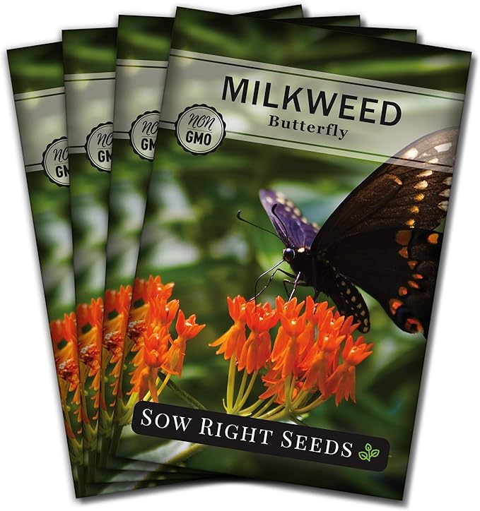 Sow Right Seeds Butterfly Milkweed Seeds - Attract Monarch And Other Butterflies to Your Garden - Non-GMO Heirloom Seed Packet With instructions for Planting - Perennial Host Plant for Pollinators (4)