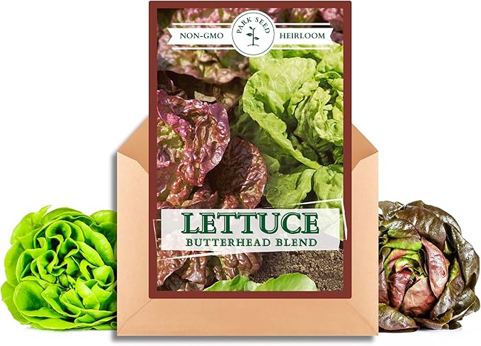 Park Seed Lettuce Salad Mix Edible Plant Seeds – Butterhead Blend of Red Roxy and Green Mirlo Varieties, Tender Boston-Type Lettuce for Cool Weather Gardens or Containers, Pack of 100