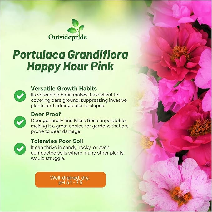 Outsidepride Pink Mixed Moss Rose Seeds - 500 Pcs Annual, Drought & Heat Tolerant, Pollinator Friendly Ground Cover Seeds for Planting w/Vibrant Blooms & Succulent Foliage, Ideal for Xeriscaping