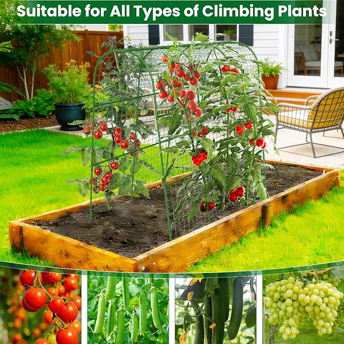 Cucumber Trellis for Raised Bed 64" L x 48" H, U-Shape Garden Trellis for Climbing Plants Outdoor, Metal Arch Trellis for Vegetables, Plant Support for Tomato Pea Zucchini Grape Flowers