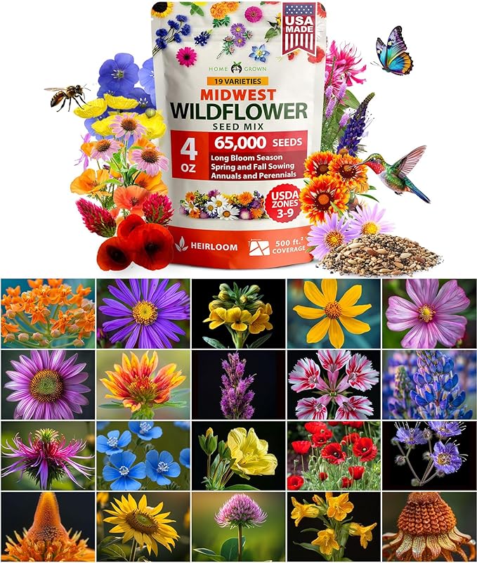HOME GROWN 65,000+ Wildflower Seeds Heirloom Perennial Flower Seeds Mix for Attracting Bees Birds & Butterflies, High Germination (Midwest, 4 oz)