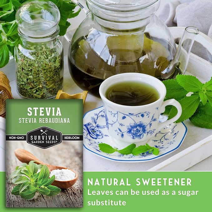 Stevia Seeds for Planting - Natural Sweet Herb Stevia rebaudiana with Sweet Leaves, Tender Perennial for Warm Climates or Indoor Growing, Non-GMO Heirloom - Survival Garden Seeds
