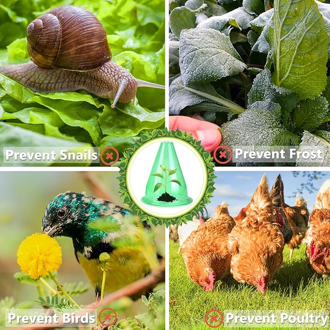 【36 Pieces】Garden Cloches for Plants, Multifunctional Plant Cover Plant Protectors Transparent Bell Jar Cloche Protection Plants from Birds, Animals, Frost, Freeze Weather,7.8" D x 9.4" H, Green