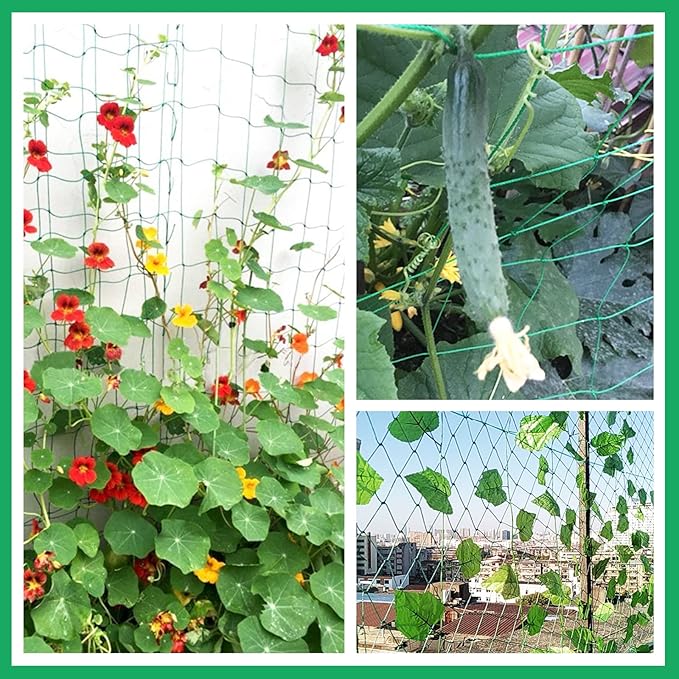 KINGLAKE GARDEN Trellis Netting for Climbing Plants 6 Ft x 12 Ft Green Garden Plant Netting Heavy-Duty Plastic Plant Trellis Netting for Tomato, Cucumber, Plants, Fruits, Flowers