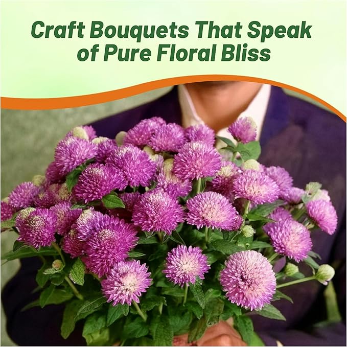 Outsidepride Rose Gomphrena Seeds - 1000 Pcs Annual, Heat & Drought Tolerant, Pollinator Friendly Globe Amaranth Seeds for Planting w/Vibrant Round Blooms for Beds, Borders, and Arrangements