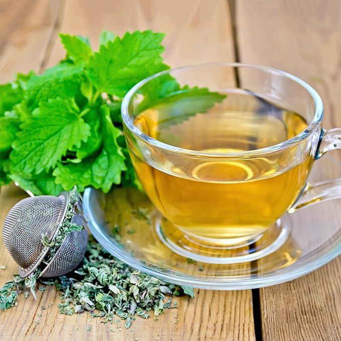 Back to The Roots 100% Organic Seed Packet - Lemon Balm 140mg