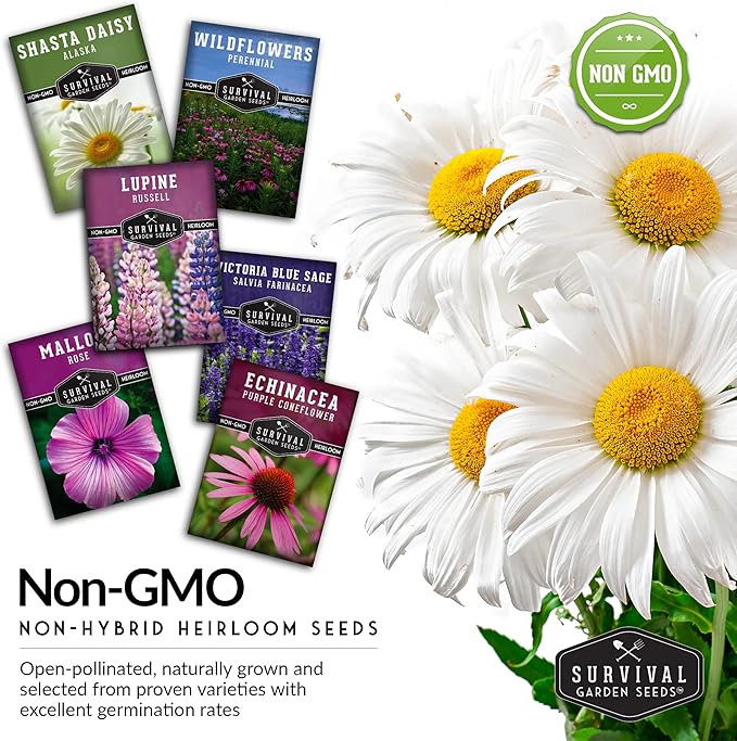 Perennial Flowers Seed 5 Pack for Planting - Shasta Daisy, Purple Coneflower, Russell Lupine, Rose Mallow, Blue Sage, Wildflower Mix- Heirloom Open-Pollinated | Survival Garden Seeds