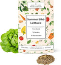 Woods Creek Seeds: Summer Bibb Heirloom Lettuce Seeds for Planting - Over 2,700 Non-GMO Seed Pack for Growing Indoors, Outdoors, or as Hydroponic Seeds - Beginner-Friendly Green Leaf Lettuce Seed