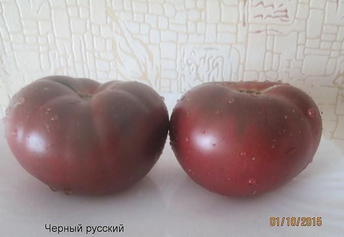 Seeds4planting - Seeds Tomato Black Elephant Giant Heirloom Vegetable Non GMO