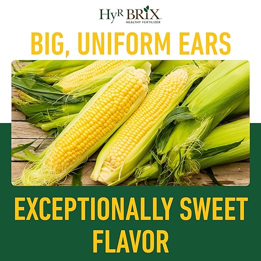 HyR BRIX Slow-Release 16-7-10 Sweet Corn Fertilizer, 5lb Bucket - Corn Food with Calcium & Sulfur - Essential Micronutrients for Big, Uniform Ears & Sweet Flavor