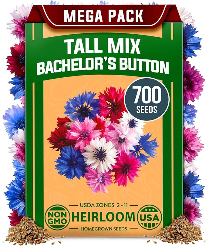 HOME GROWN Bachelor Button Flower Seeds Tall Mix 700+ Cornflower Heirloom Seeds for Planting - Quick Blooming, Non-GMO, Pollinator Friendly, Easy to Grow Wildflowers USA Grown (Centaurea cyanus)