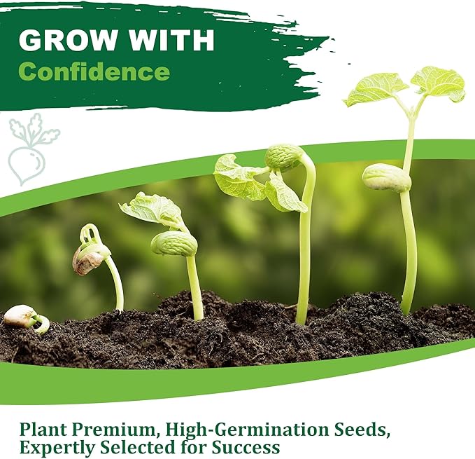 TKE Farms & Gardens - Cilantro Seeds for Planting, 150+ Non-GMO Heirloom Coriander Seeds, Slow Bolt for Long Harvest, Indoor or Outdoor Herb Garden, Easy Growing Instructions Included