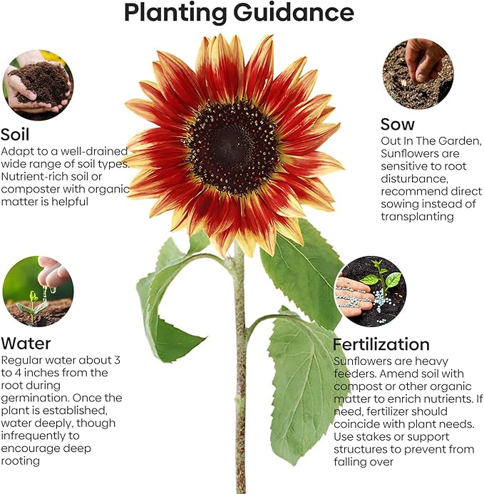 Sunflower Seeds for Planting, 15+ Varieties, 1 Oz, 300+ Mixed Seeds to Plant Colored Sunflower for Outdoors, Garden, Attracts Pollinators