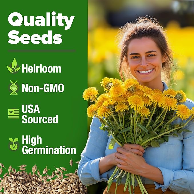 HOME GROWN Flower & Herb Seed Trio – 1,000+ 𝗡𝗢𝗡-𝗚𝗠𝗢 -𝗦𝗢𝗨𝗥𝗖𝗘𝗗 Seeds: White Lilac, Aubrieta Rock Cress & Dandelion – Heirloom 𝗨𝗦𝗔-Grown for Pollinators, Ground Cover & Medicinal Uses