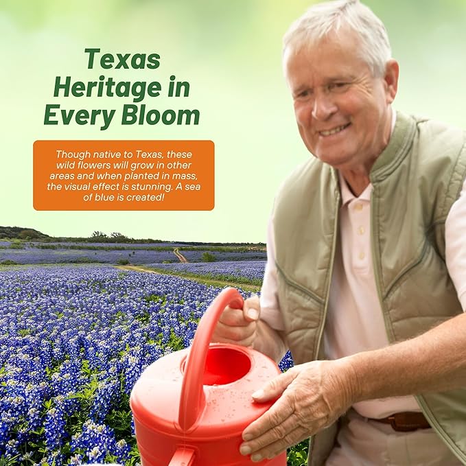 Outsidepride Texas Bluebonnet Seeds - 1/4 lb. Annual Lupinus Texensis, Heirloom Quality, Drought-Tolerant Wildflower Seeds w/Blue Blooms for Vibrant Spring Displays, Landscape, & Attracts Pollinators