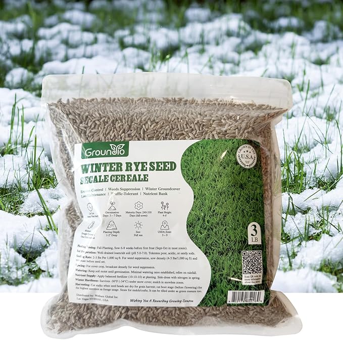 Groundio Winter Rye Seeds, 3lbs Non-GMO Cover Crop Seeds, Annual Secale Cereale to Plant for Lawn Alternative, Rye Grass Seed Grown in The USA
