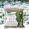 Groundio Winter Rye Seeds, 3lbs Non-GMO Cover Crop Seeds, Annual Secale Cereale to Plant for Lawn Alternative, Rye Grass Seed Grown in The USA