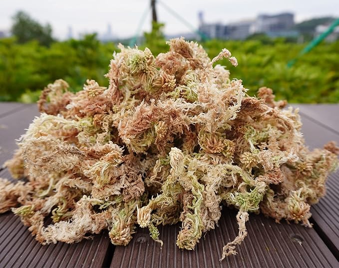 5oz Sphagnum Moss for Plant Propagation, Great Orchid Potting Mix, Help with Maintain Humidity