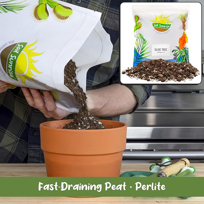 Soil Sunrise Olive Tree Potting Soil Mix (8 Quarts) for Planting, Repotting, and Growing Olive Bushes/Plants