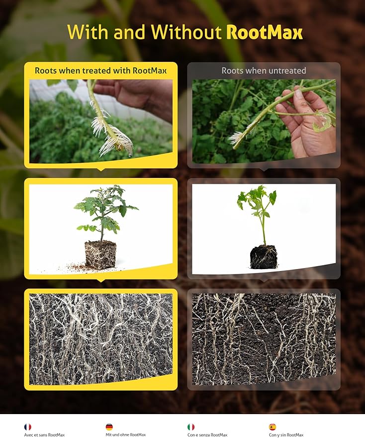 RootMax - Mycorrhizal Fungi (75 g/2.64 oz) | Rooting Powder for All Plants, Trees, Flowers & Edibles | Direct to Root Inoculant | Treats 15+ Plants