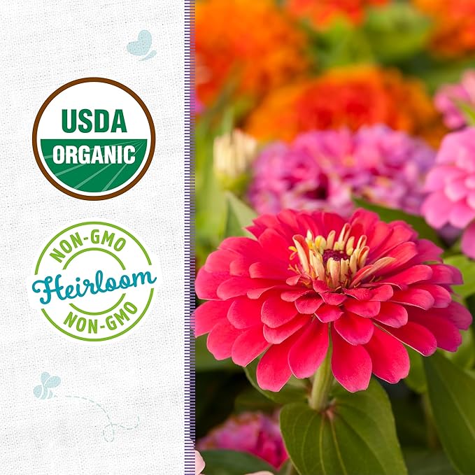 Back to The Roots 100% Organic Seed Packet - Zinnia 'California Giants' 210mg