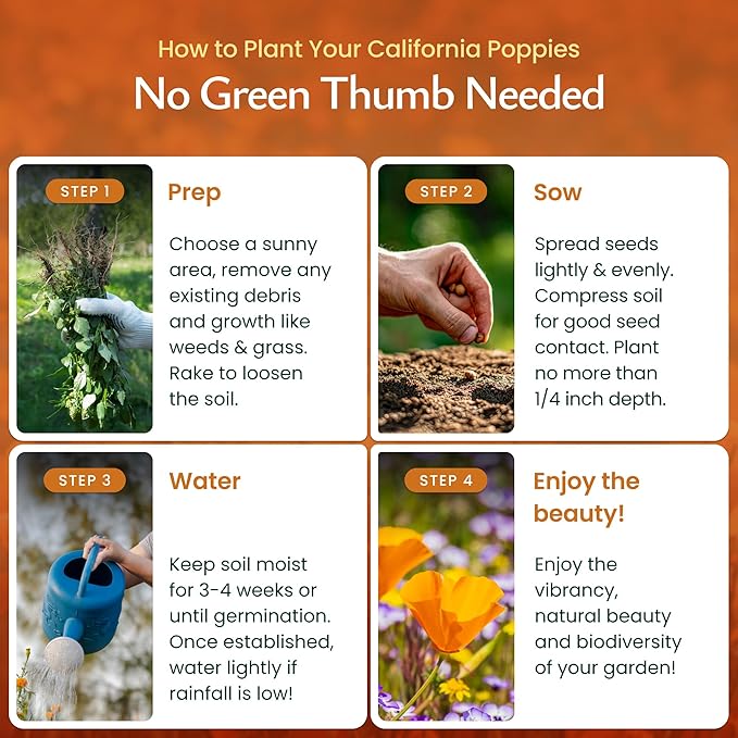 Created by Nature California Poppy Flower Seeds, 20,000 Native Wildflower Seeds, California State Flower