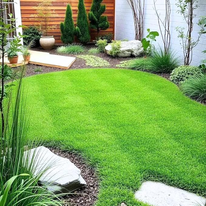 5000 Zoysia Grass Seeds for Lawn, Zoysia Seeds Lawngrass Seeds, Grow Outdoor, Low-Maintenance for Lawn Backyard Home Garden