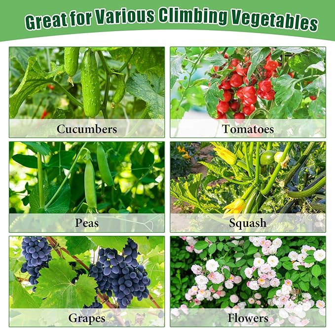66x65x18 Inch Cucumber Trellis for Raised Bed - with 61 Gallon Grow Bags, Garden Trellis for Climbing Plants Outdoor with Climbing Net and Plant Support for Cucumber, Tomato, Vegetable, Grape, Vine