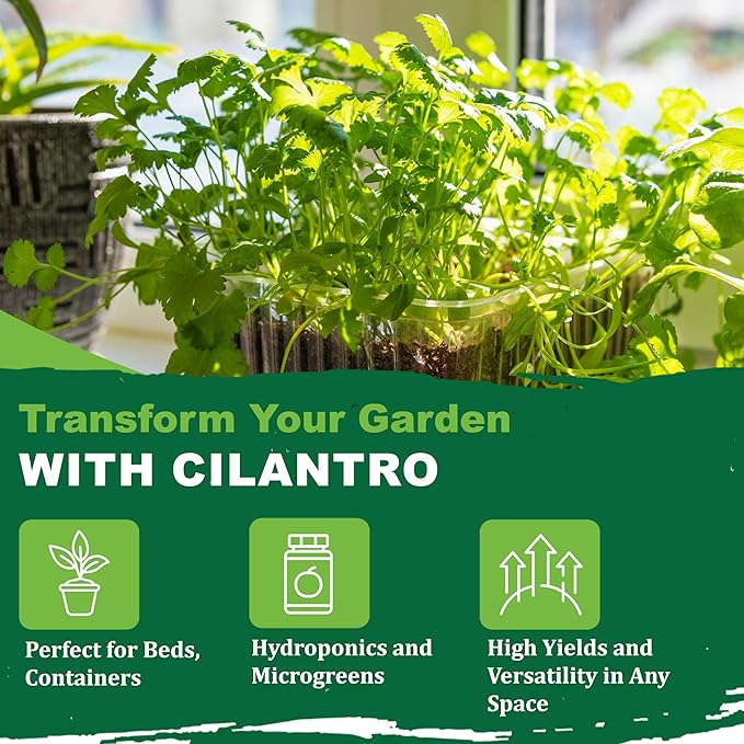 TKE Farms & Gardens - Cilantro Seeds for Planting, 150+ Non-GMO Heirloom Coriander Seeds, Slow Bolt for Long Harvest, Indoor or Outdoor Herb Garden, Easy Growing Instructions Included