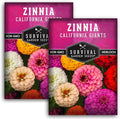 California Giants Zinnia Seeds – Large 4–6″ Cut & Come Again Blooms, Pollinator Favorite, Easy Annual Garden Flower Mix – Survival Garden Seeds (2 Packs)