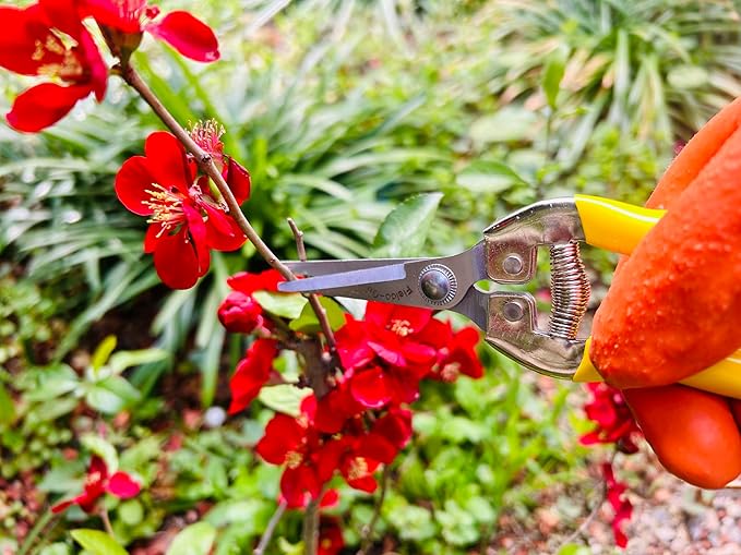 Pruning Snip w/Curved Blades 7" with Stainless Blades for Flowers, Weeds, Small Plants and Bonsai, Gardening Hand Tools