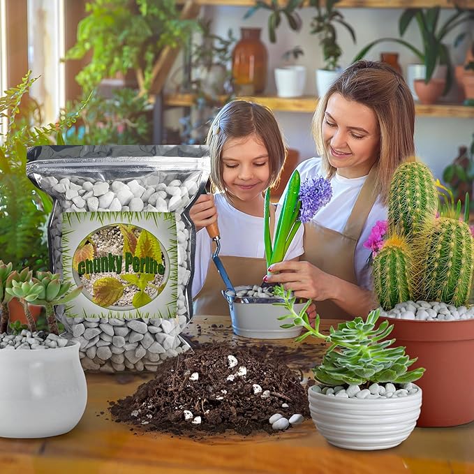 Organic Chunky Perlite for Plants (0.4"-0.8" in Diameter), Natural Horticultural Soil Additive Conditioner Mix, Improve Drainage and Ventilation, Enhance Soil Health and Root Growth (1 Quart)