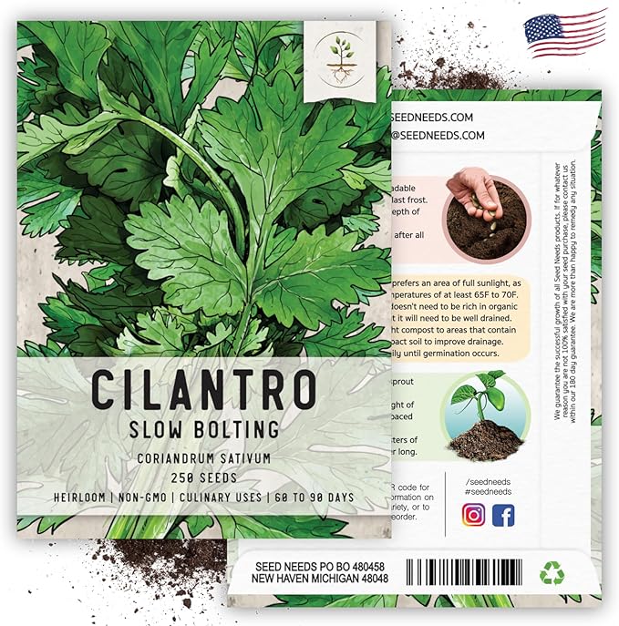 Seed Needs Cilantro Seeds for Planting Coriander Kitchen Herbs - Non-GMO Heirloom & Untreated - Grow a Home Grown Herb Garden Indoors or Outdoors (5 Packs)