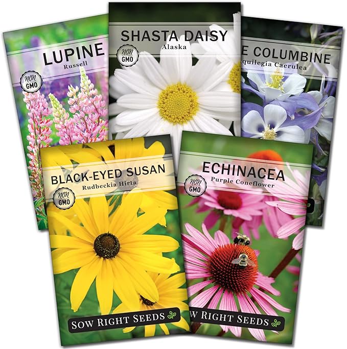 Sow Right Seeds - Perennial 5 Flower Garden Seed Collection for Planting - Russell Lupine, Black-Eyed Susan, Shasta Daisy, Purple Coneflower & Blue Columbine - Non-GMO Heirloom Packets Home Gardening