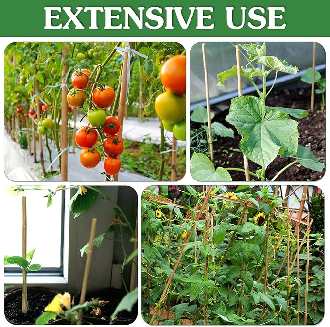 Plant Stakes,20Pcs Bamboo Stakes,16 Inches Natural Bamboo Plant Support Stakes,Bamboo Stakes for Indoor and Outdoor Plants Tomatoes Beans Flowers Potted Plants Climbing Support