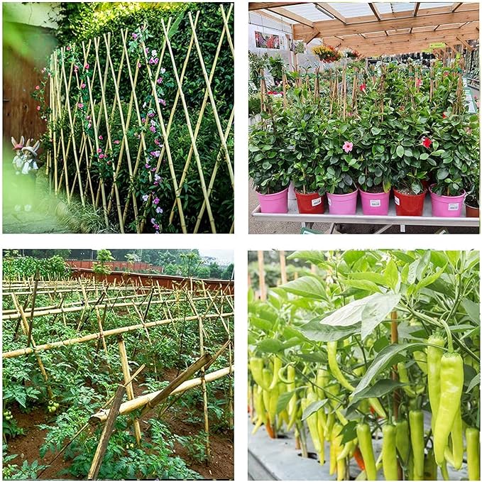 Bamboo Sticks for Plants 2 Feet Bamboo Stakes for Indoor Gardening Plant Stakes Supports Potted Plants Mini Trees Garden Stakes - Pack of 30 Bamboo Poles