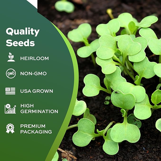 1000 Pak Choi Seeds for Planting - 3+ Grams - White Stem - Heirloom Non-GMO Vegetable Seeds for Planting - AKA Bok Choy, Pok Choi, Chinese Cabbage