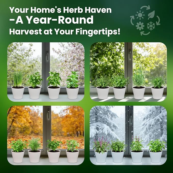 15 Herb Indoor Garden Kit Starter - Fruivity 12800+ Non-GMO Seeds with Genovese Basil, Mint, Parsley - Complete Windowsill Planter Set for Fresh Herbs, Unique Gift for Home Chefs, Women & Family
