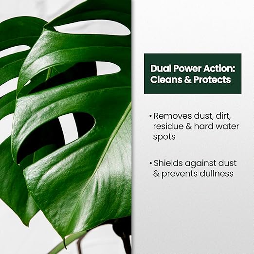 8oz Leaf Shine Spray for Indoor Plants - Plant Leaf Cleaner and Shine for Indoor Houseplants - Makes Leaves Shiny, Vibrant & Healthy