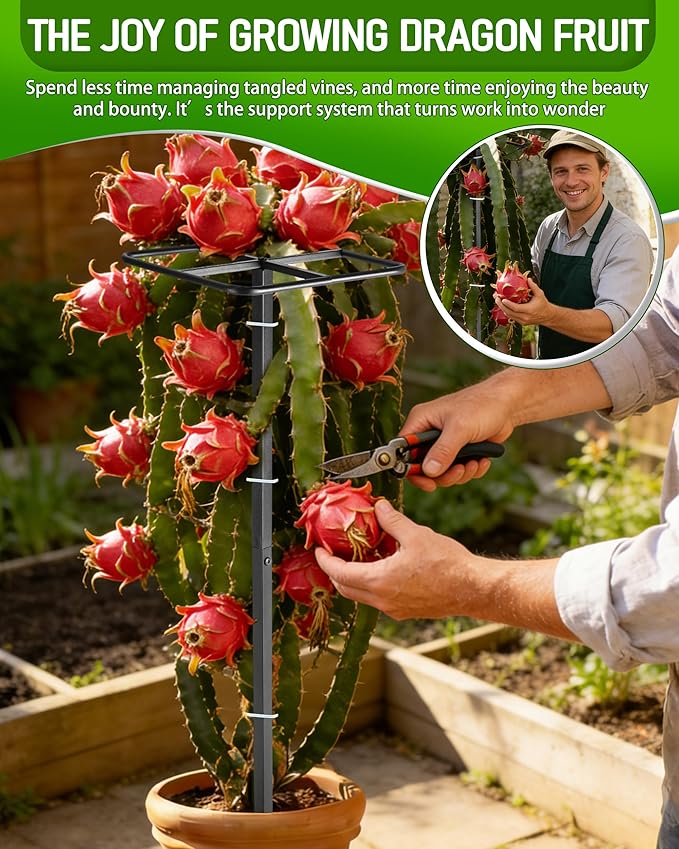 Metal Dragon Fruit Trellis 62" - Adjustable Heavy Duty Metal Plant Support with Square Top Design for Climbing Plants and Vertical Gardening, Powder-Coated Black for Garden, Patio, Indoor Use