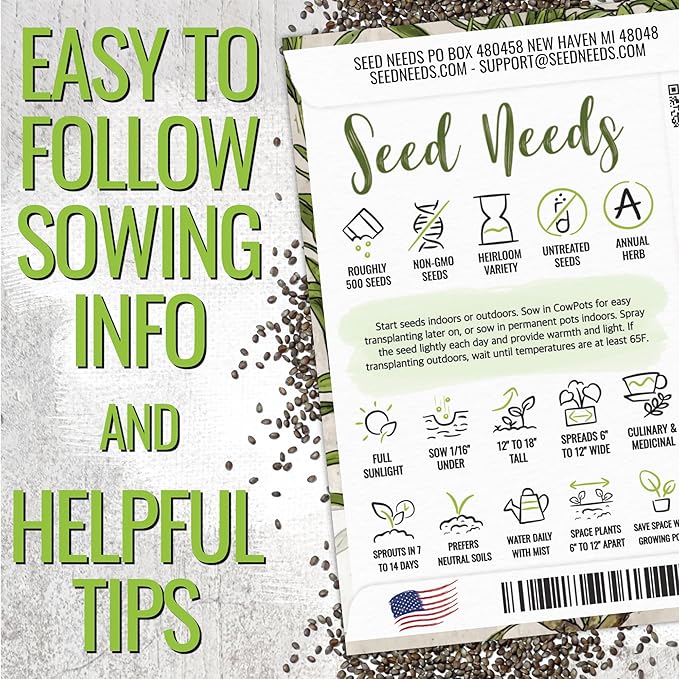 Seed Needs Savory Seeds for Planting Summer & Winter Savory Herbs - Non-GMO Heirloom & Untreated Herb Seed to Plant an Indoor/Outdoor Culinary Medicinal Garden (Collection of 2 Packets)