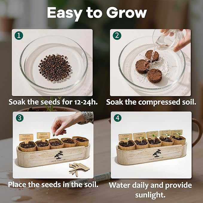 LUOJIBIE Bonsai Tree Kit for Beginners - Unique DIY Japanese Bonsai Trees,Crafts for Adults, Ideal Gardening Birthday Gift for Women & Men,Complete Indoor Plant Kit