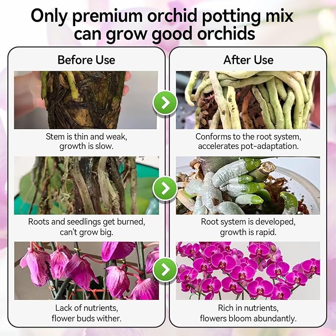 Orchid Bark Potting Mix with Pine Bark and Perlite, Fast Draining Orchid Soil for Healthy Roots, Ideal for Repotting Orchid and Orchid Bark for Indoor Plants (2 Quarts)