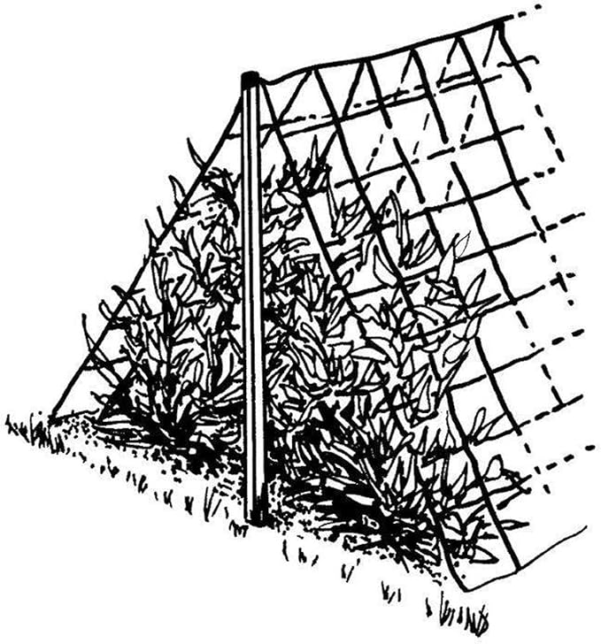 Luster Leaf 864 Rapiclip Vine and Veggie Trellis Net, Green
