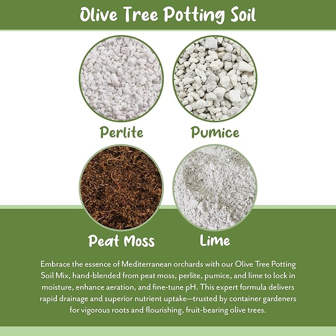 Soil Sunrise Olive Tree Potting Soil Mix (8 Quarts) for Planting, Repotting, and Growing Olive Bushes/Plants