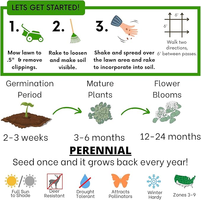 Flawn Seed Kits White Dutch Clover Seed, 4.4 Oz, Organic Coated, Natural Lawn, Ground Cover, Hunting Food Plot, Covers up to 1,000 SqFt