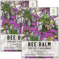 Seed Needs, Spotted Bee Balm Seeds - 300 Heirloom Seeds for Planting Monarda punctata - Medicinal Horsemint Herb, Open Pollinated, Attracts Pollinators (2 Packs)