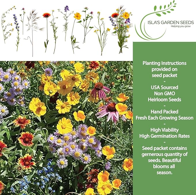 Burst of Bloom Wildflower Seeds Mix – 2500+ Non-GMO & Heirloom Seeds, Attracts Butterflies & Hummingbirds, Annual & Perennial Blend for Pollinator Gardens, by Isla’s Garden Seeds