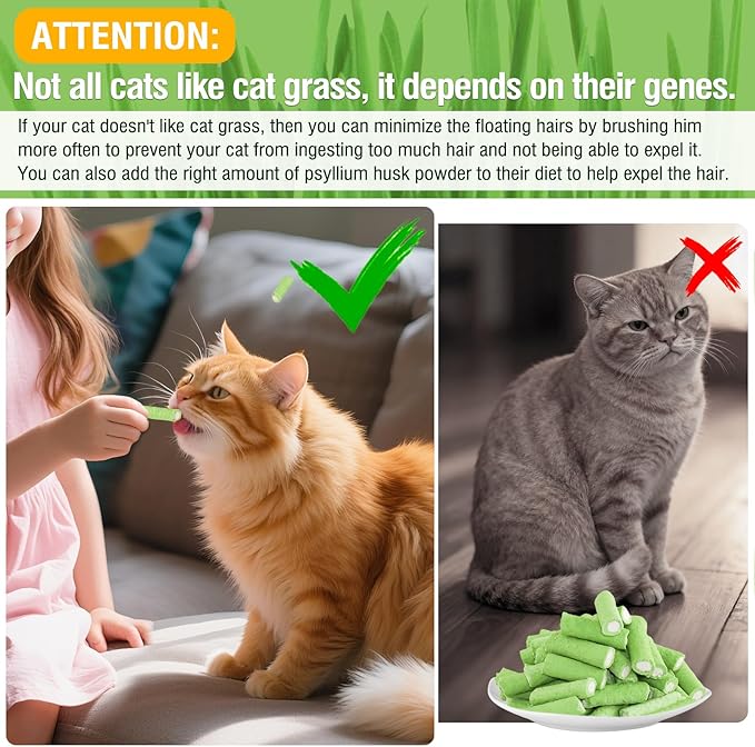 Havenfly Cat Grass Teething Sticks, 3.52oz Edible Natural Dried Cat Grass Treats with Chicken, Cats Snack for Hairball Removal and Dental Care